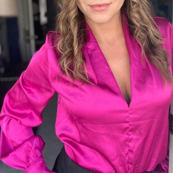 Tops - Luxe Satin V neck Long Sleeve Minimalist Blouse